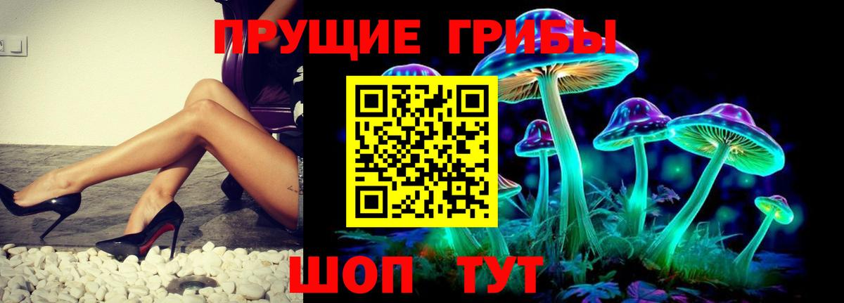 Калининград  Галлюциногенные грибы Psilocybe  Вход с VPN 