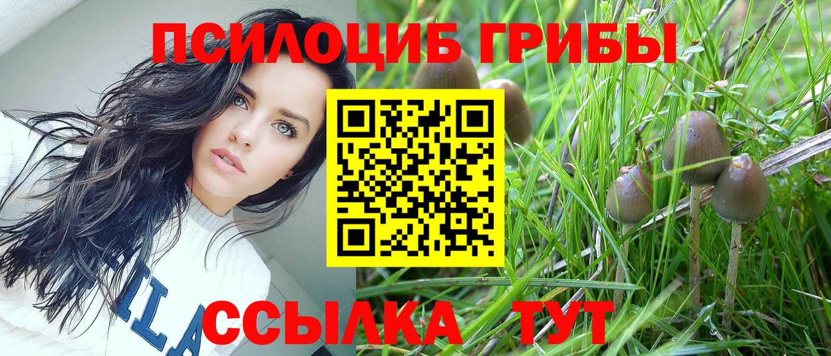 Галлюциногенные грибы ЛСД Калининград